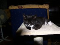 2010-08-29-19h47m54P1130565