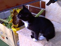 2010-08-30-16h58m00IMAG0222