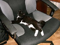 2010-11-07-20h23m44IMG 2220