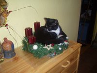 2010-12-05-15h36m06P1030282