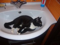 2010-12-06-09h40m10P1030291