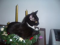 2010-12-22-09h46m08P1030294