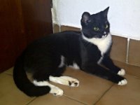 2011-03-16-17h19m14IMG-20110316-00006