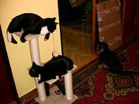 2011-12-24-15h50m58IMG 2780