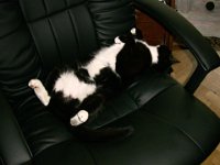 2012-06-01-20h59m20IMG 2980