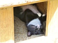 2012-07-28-12h39m10P1000943