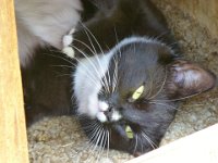 2012-07-28-12h40m53P1000951