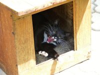 2012-07-28-12h41m08P1000960