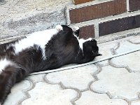 2012-07-28-12h41m50P1000965