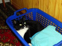 2012-11-24-11h40m08P1020053