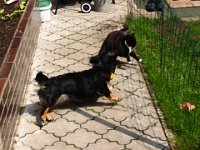 2013-05-05-12h17m35IMG 2414