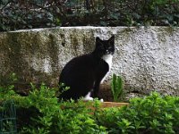 2013-05-06-18h32m17IMG 2495