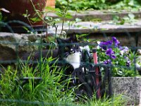 2013-06-04-17h45m30IMG 2803