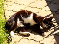 2013-06-11-17h04m50IMG 2898