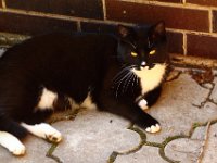 2013-06-11-17h10m57IMG 2924