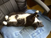 2013-07-13-14h14m36Praha-20130713-00657