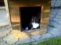 2013-09-04-18h56m42Praha-20130904-00715