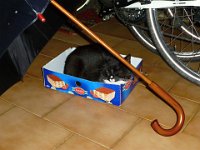 2013-09-16--P1030177