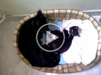 2010-10-02--VIDEO0312