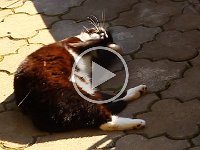 2013-06-11--MVI 2913